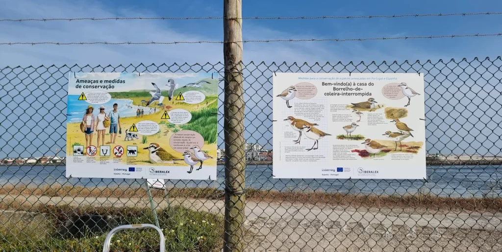 Sensibilização: o que parece lixo pode ser um ninho